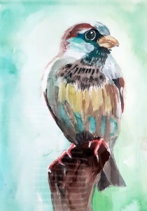 Spatz